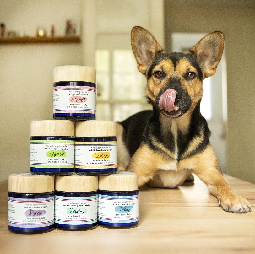 cures naturelles de phytothérapie chiens et chats