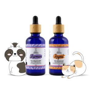 duo nettoyants yeux et oreilles chiens et chats