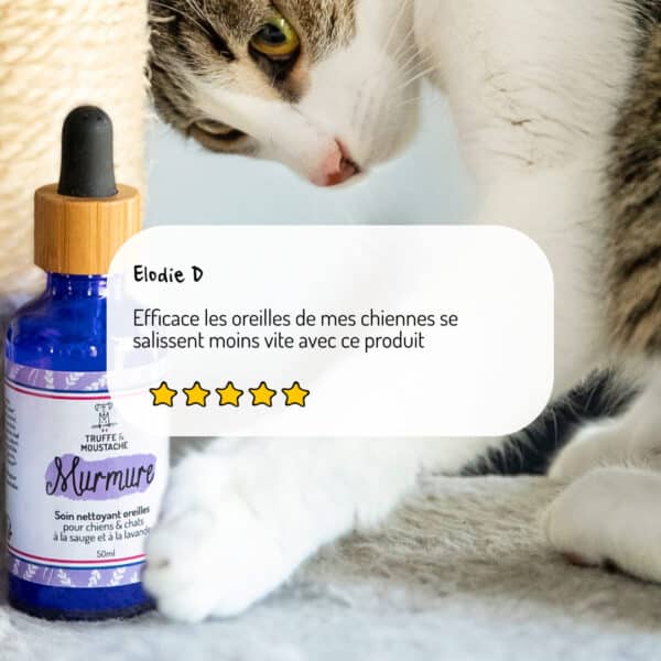 Nettoyant oreilles Murmure chien et chat