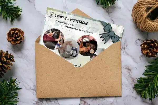  Carte cadeau  - Email - Chien et chat à Noël: Gift Cards