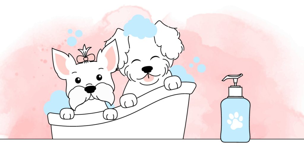 illustration article choisir shampooing chien