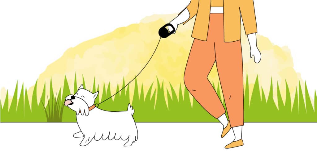 illustration pourquoi mon chien mange de l'herbe