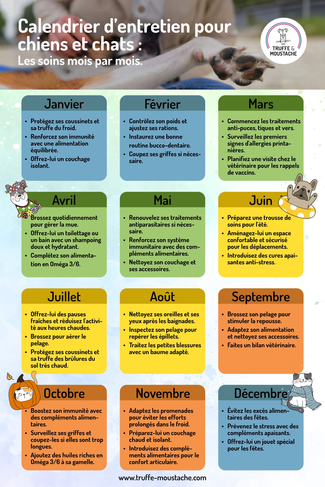 infographie article calendrier des soins pour chiens et chats : mois par mois