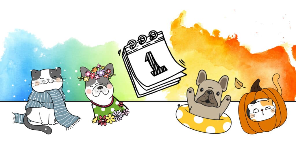 illustration article calendrier des soins pour chiens et chats : mois par mois